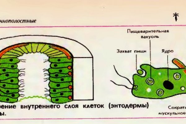 Омг даркмаркет